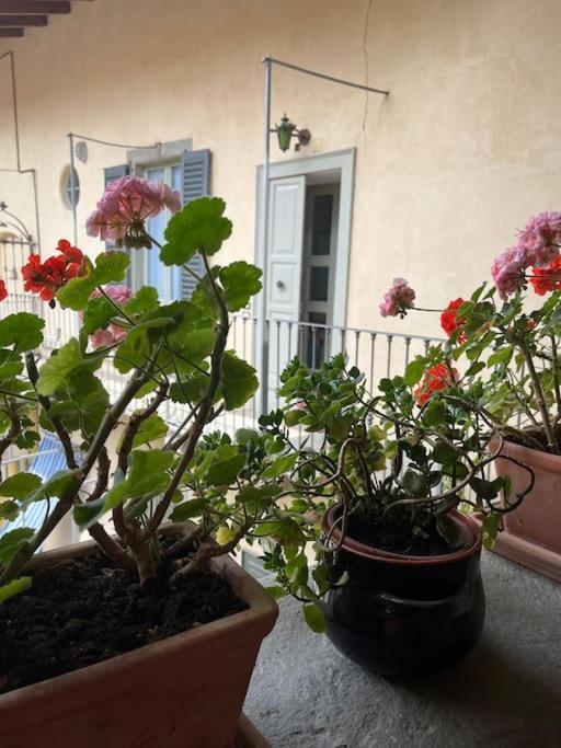 Ey Home Charme&Relax بيرغامو المظهر الخارجي الصورة